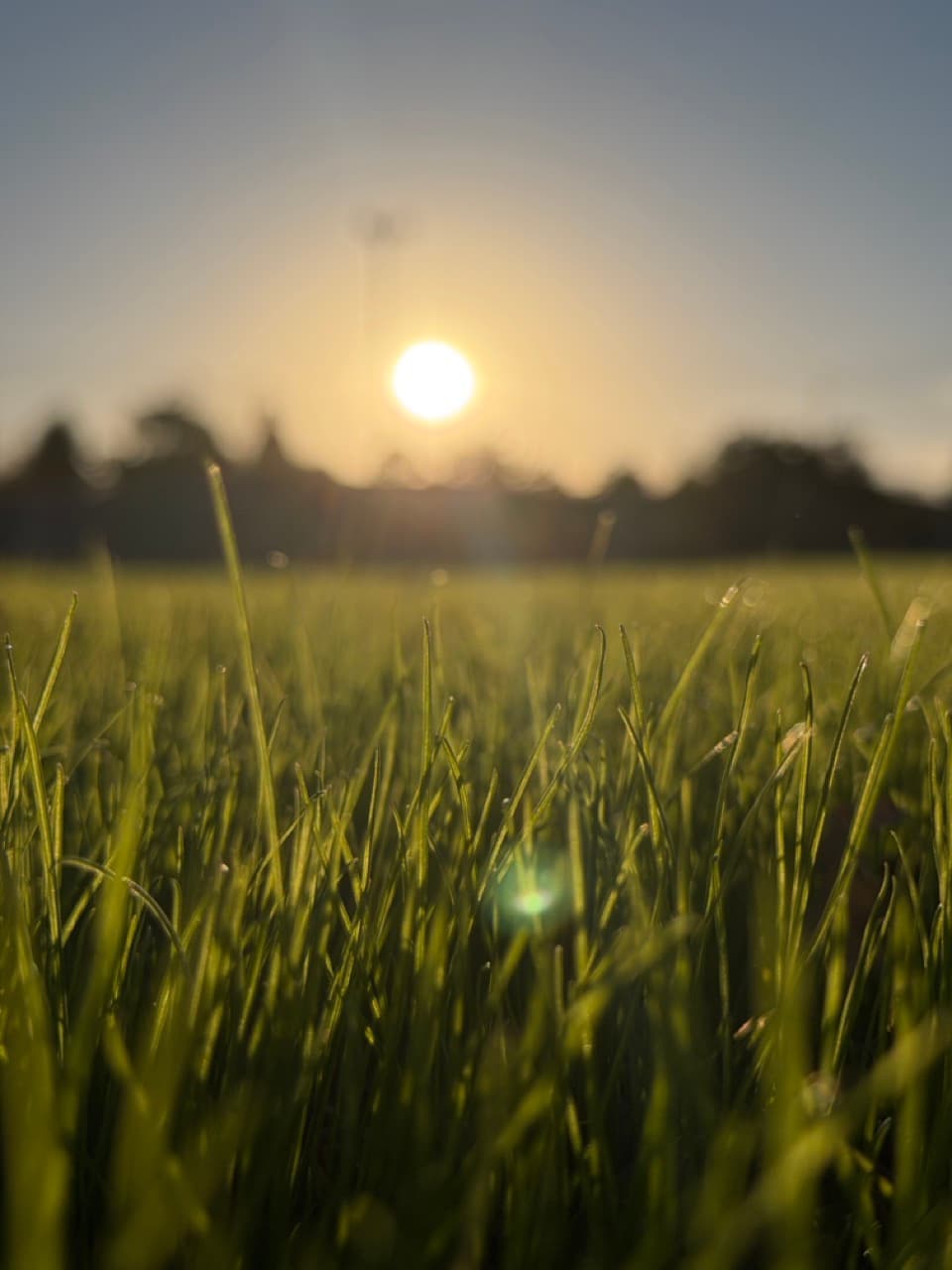 Cancha de fútbol nocturna